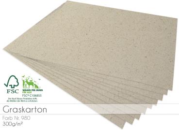 Cardstock - Bastelpapier 300g/m² DIN A4 in Graskarton